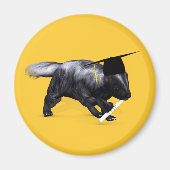 Smartestes Skunk von Campus Magnet (Vorne)