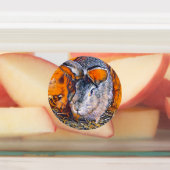 smartmix animal - bunny etiketten (Befestigt)