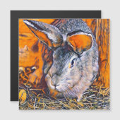 smartmix animal - bunny magnetkarte (Vorne/Hinten)