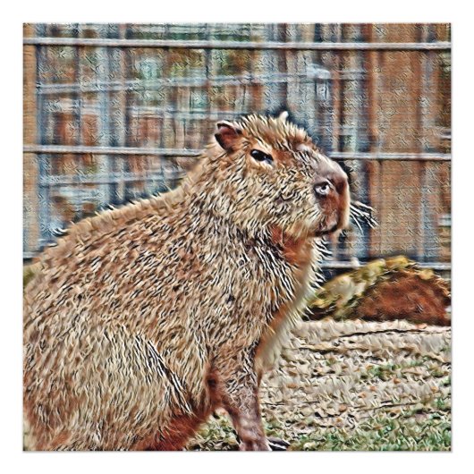 SmartMix Animal- Capybara Fotodruck (Vorne)