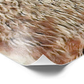 SmartMix Animal- Capybara Fotodruck (Ecke)