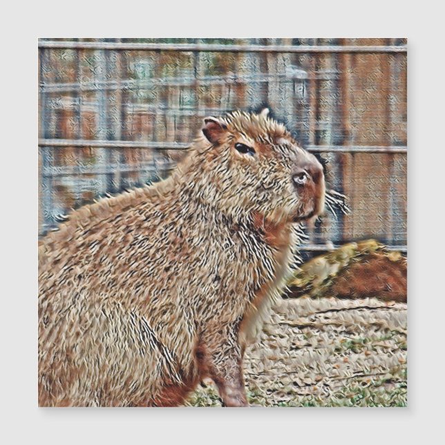 SmartMix Animal- Capybara Magnetkarte (Vorderseite)