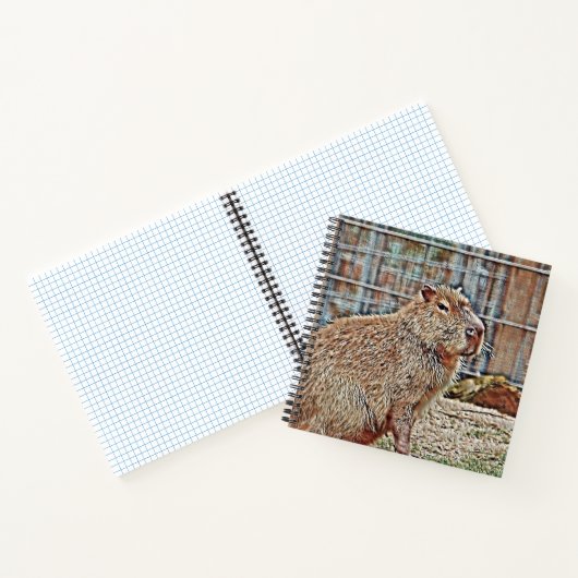 SmartMix Animal- Capybara Notizblock (Innenseite)