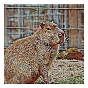SmartMix Animal- Capybara Poster