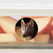 smartmix animal etiketten (Befestigt)