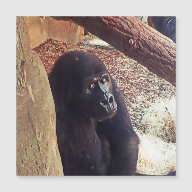 SmartMix Animal-Gorilla Magnetkarte (Vorderseite)
