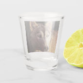 smartmix animal schnapsglas (Rückseite)