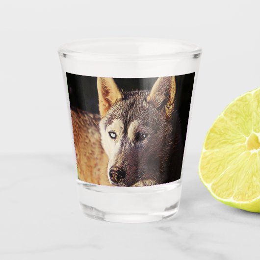 smartmix animal schnapsglas (Vorderseite)