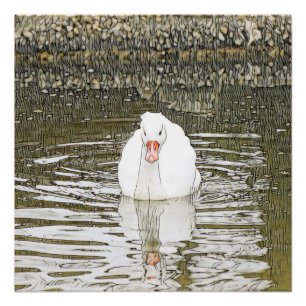 SmartMix Animal - Swan Poster