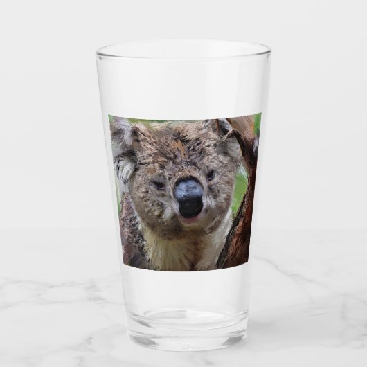 SmartMix Koala 1220 Glas (Vorderseite)