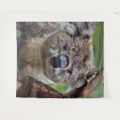 SmartMix Koala 1220 Wandteppich (Vorderseite (Horizontal))
