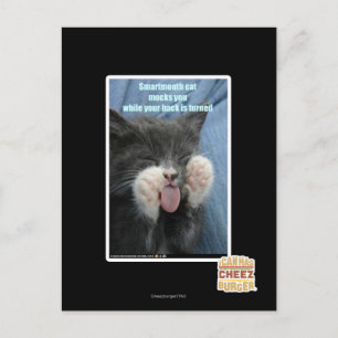 Smartmouth cat postkarte