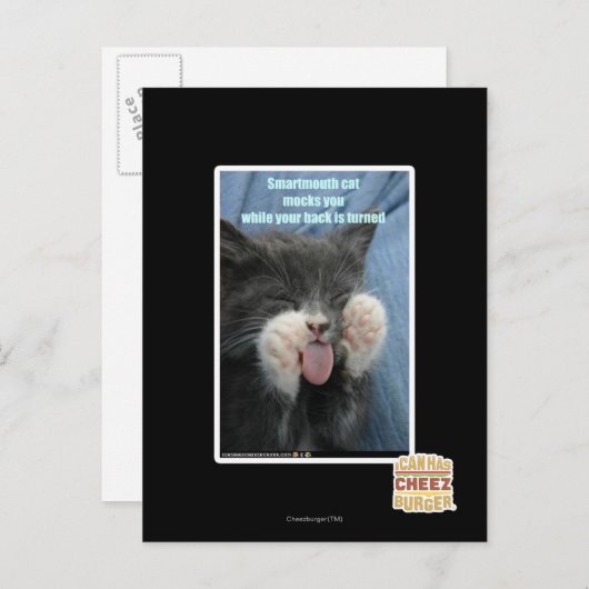 Smartmouth cat postkarte (Vorne/Hinten)