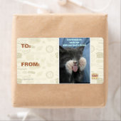 Smartmouth Katze (Insitu)