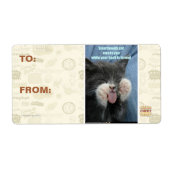 Smartmouth Katze (Vorne)