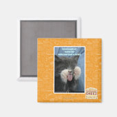 Smartmouth Katze Magnet (Vorderseite/Rückseite)