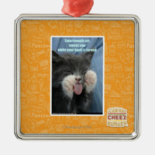 Smartmouth Katze Ornament Aus Metall