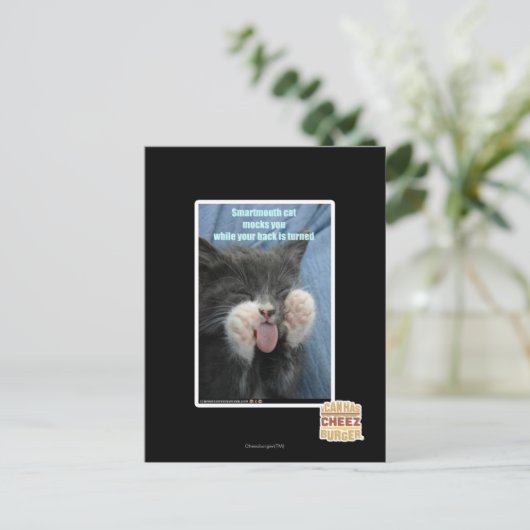 Smartmouth Katze Postkarte (Stehend Vorderseite)