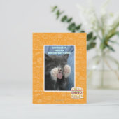 Smartmouth Katze Postkarte (Stehend Vorderseite)