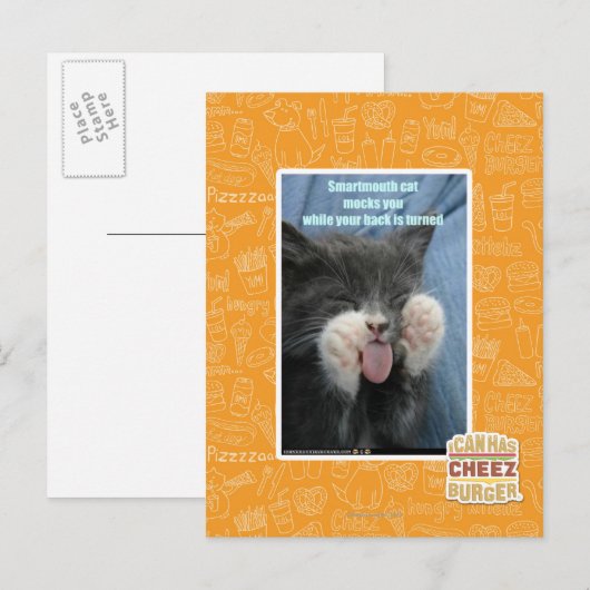 Smartmouth Katze Postkarte (Vorne/Hinten)
