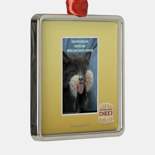 Smartmouth Katze Silbernes Ornament (Rechts)