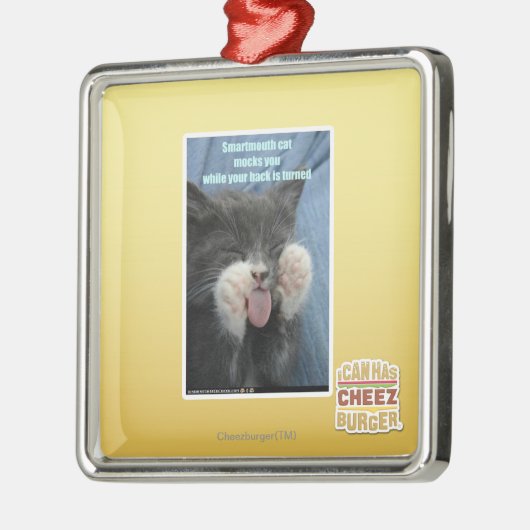 Smartmouth Katze Silbernes Ornament (Links)