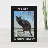*SMARTY PANTS BLACK CAT** GEBURTSTAG KARTE (Vorderseite)