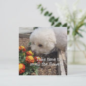 Smell the Flowers Karte (Stehend Vorderseite)