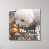 Smell the Flowers Leinwanddruck (Vorderseite)