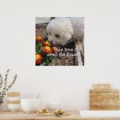 Smell the Flowers  Poster (Küche)