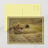 Smell Your Fear! Postkarte (Vorne/Hinten)
