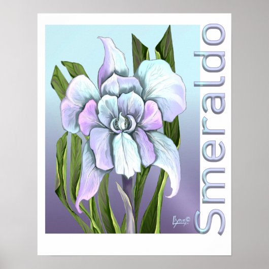 Smeraldo Blume Poster (Vorne)