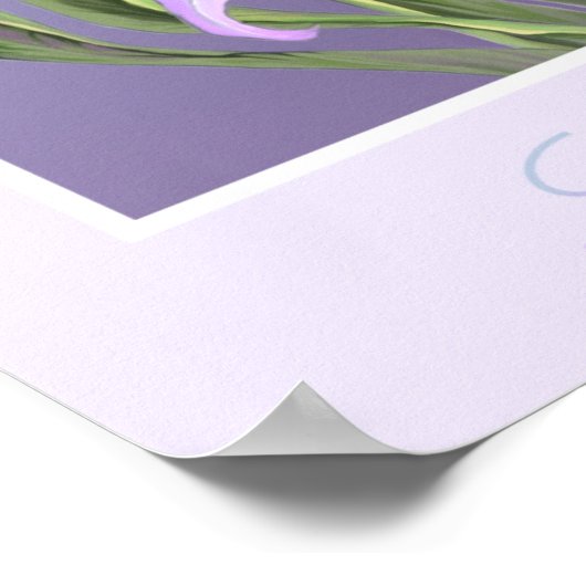 Smeraldo Blume Poster (Ecke)