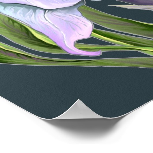 Smeraldo Blume Poster (Ecke)