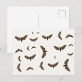 Smerinthus ocellata - Eyed Hawk-Moth - Color Image Postkarte (Vorne/Hinten)