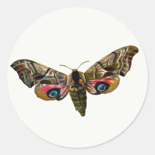 Smerinthus ocellata - Eyed Hawk-Moth - Color Image Runder Aufkleber