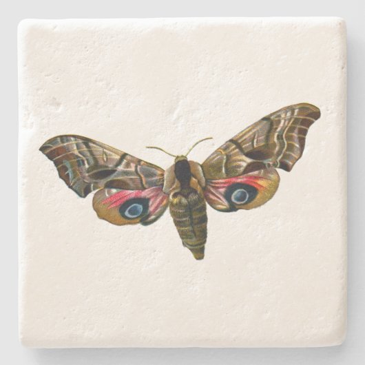 Smerinthus ocellata - Eyed Hawk-Moth - Color Image Steinuntersetzer (Vorderseite)