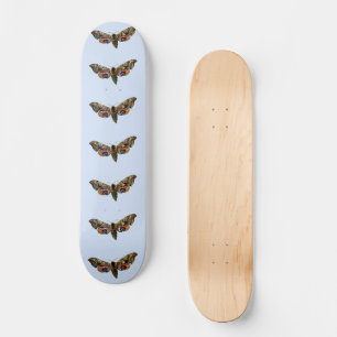 Smerinthus ocellata - Mit Augen Farbbild von Hawk- Skateboard