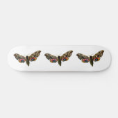 Smerinthus ocellata - Mit Augen Farbbild von Hawk- Skateboard (Horizontal)