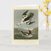 Smew oder White Nun, von Audubons Vögeln Amerikas Karte (Gelbe Blume)