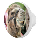 Smile Keramikknauf (Rechts)