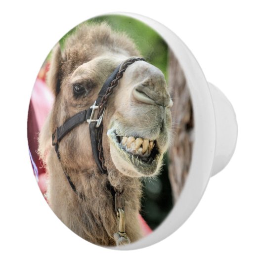 Smile Keramikknauf (Rechts)