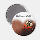 Smile Magnet (Vorderseite/Rückseite)