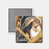 Smile Mr. Squirrel Magnet (Vorderseite/Rückseite)
