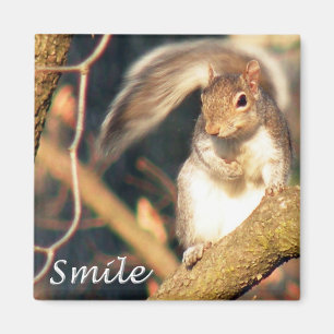 Smile Mr. Squirrel Magnet