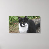 Smiler Charity  Leinwanddruck (Vorderseite)