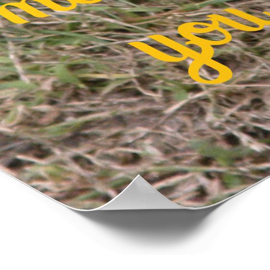 Smiler says- Sometimes, you just have to try cute. Poster (Ecke)