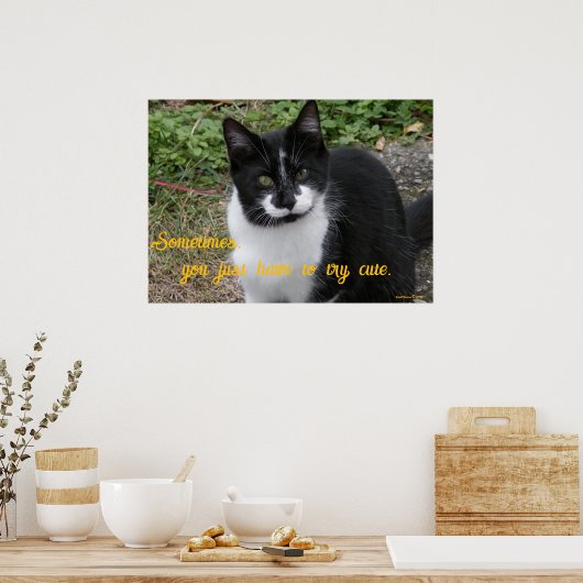 Smiler says- Sometimes, you just have to try cute. Poster (Küche)
