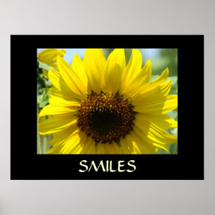SMILES Kunstprint Gelbe SONNENBLUMEN Wandkunst Poster