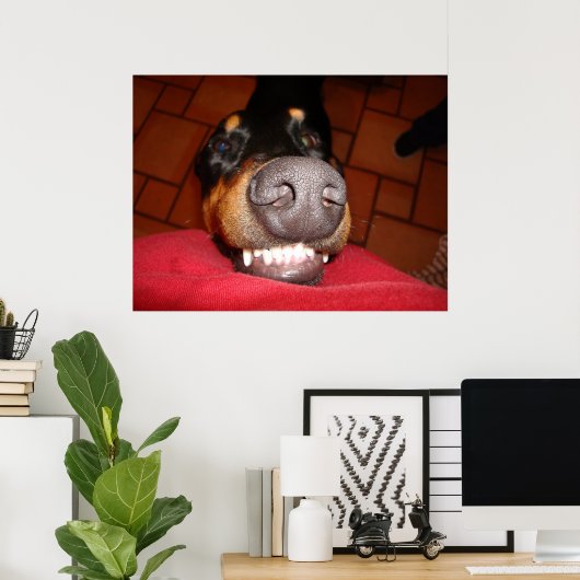 SMILING DOBERMAN POSTER (Heimbüro)